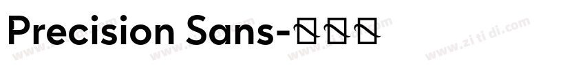 Precision Sans字体转换 Precision Sans字体转换